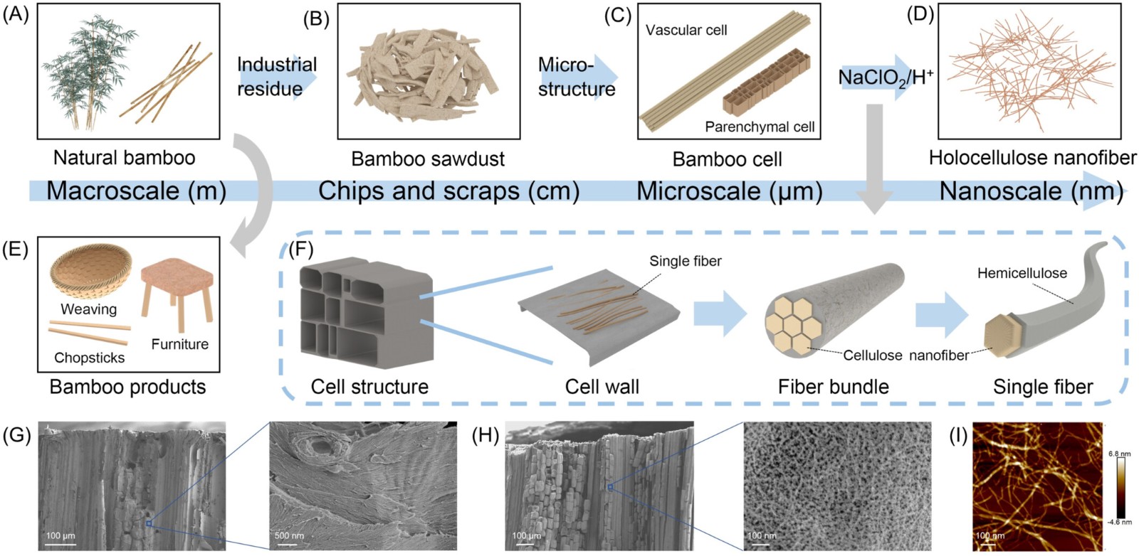 smm270001-fig-0001-m.jpg
