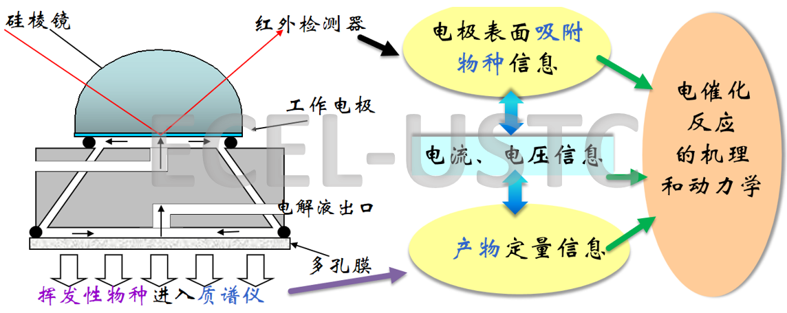 水印-联用技术.png