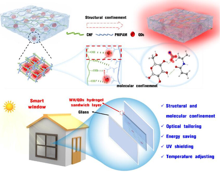 images_large_nn5c17173_0005.jpeg images_large_nn5c17173_0005.jpeg