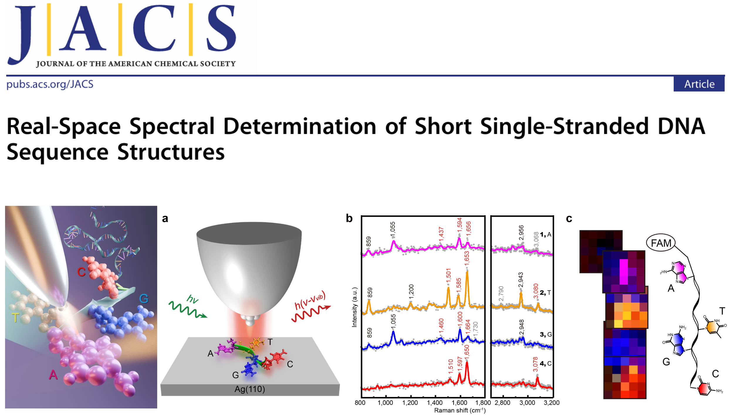 slide-17-2024-JACS-yh-2.png