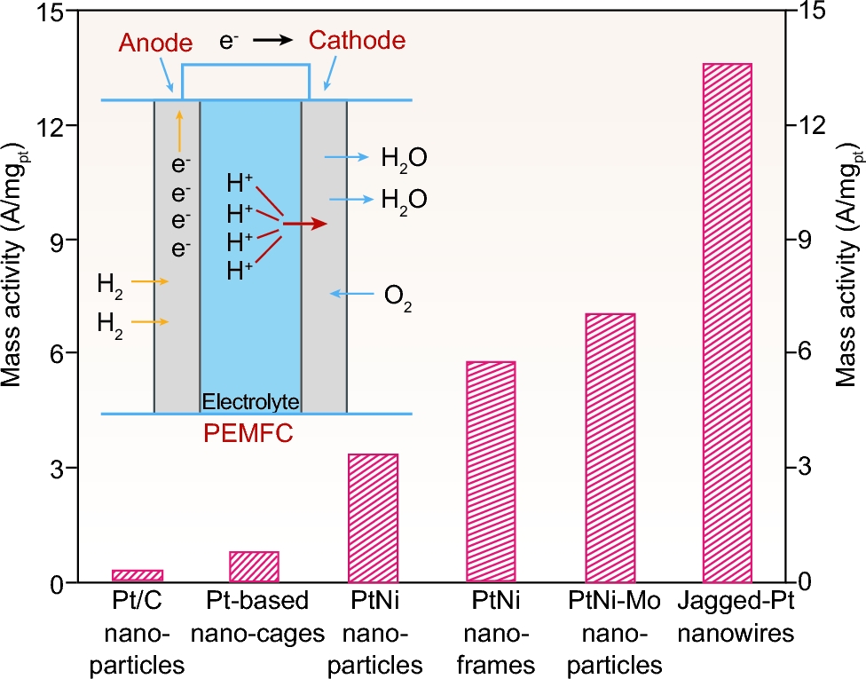 nwx012fig1.jpeg nwx012fig1.jpeg